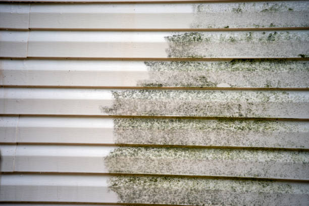 Swainsboro, GA Siding Installation & Repair Company